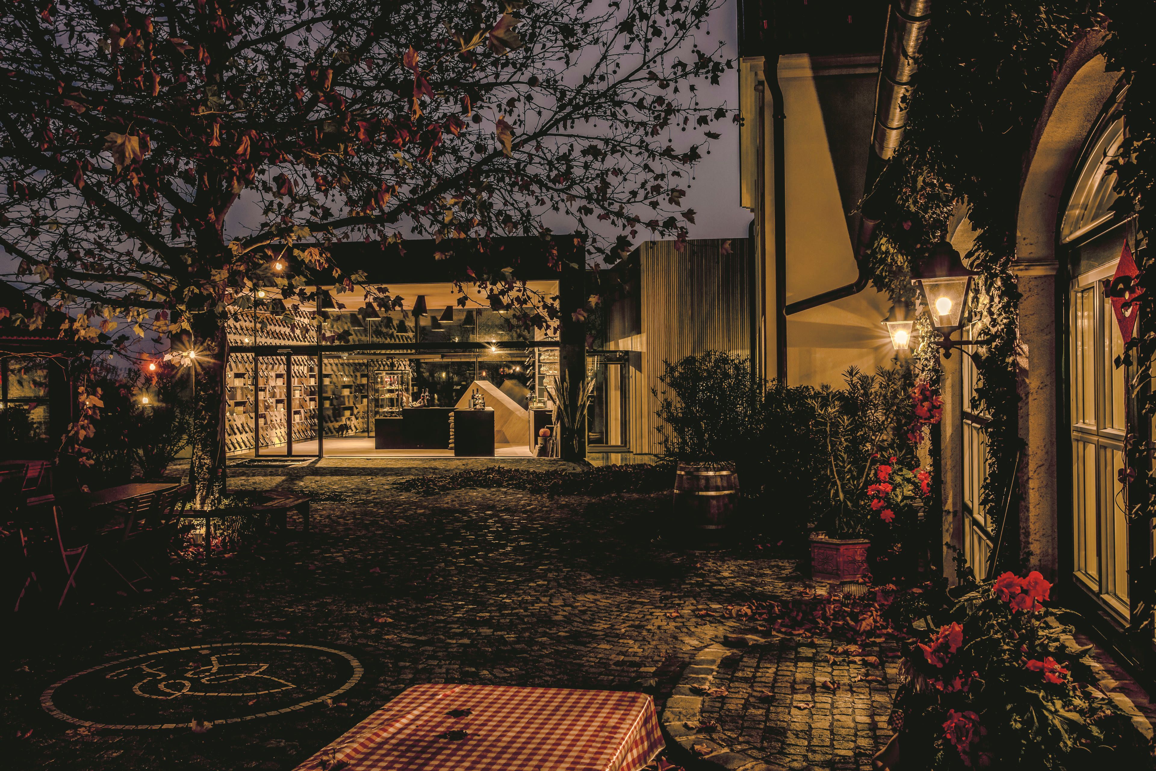 Der Hof am Abend: rechts das alte Haus mit beleuchteten Fenstern und Blumen, hinten die erleuchtete Vinothek, dazwischen Kopfsteinpflaster unter einem Baum