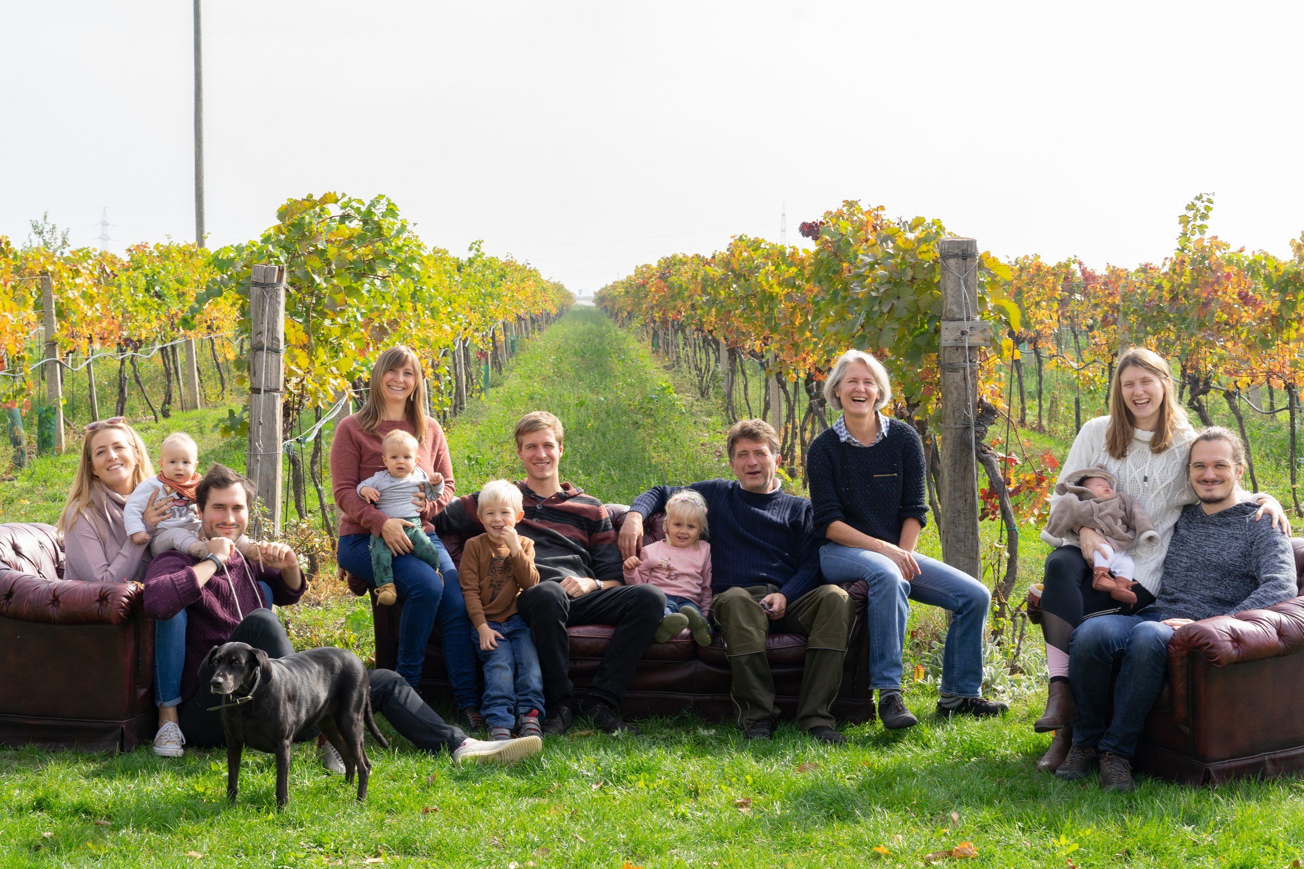 Die Familie Frühwirth auf Ledersofas in einer herbstlich verfärbten Rebzeile: Großeltern, ihre erwachsenen Kinder mit Partnerinnen und Partnern, vier Enkelkinder und der Hund.